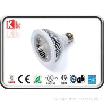 Warm white Epistar 6500K PAR30 LED Spotlight 10W for hotel